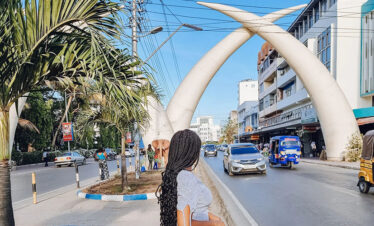 1 Day Mombasa City Tour & Haller Park